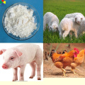 Best Price Veterinary Medicine Florfenicol 100% Water Soluble Powder for Poultry